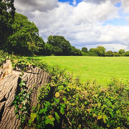 Oak Mead Villa Wrexham Ngoại thất bức ảnh