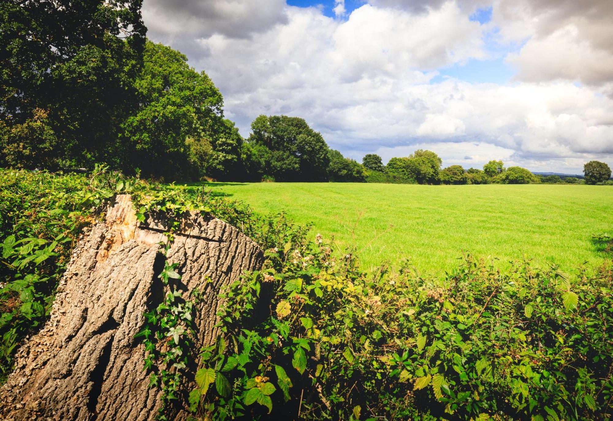 Oak Mead Villa Wrexham Ngoại thất bức ảnh